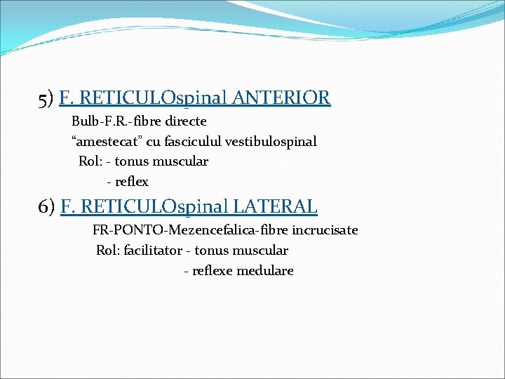  5) F. RETICULOspinal ANTERIOR Bulb-F. R. -fibre directe “amestecat” cu fasciculul vestibulospinal Rol: