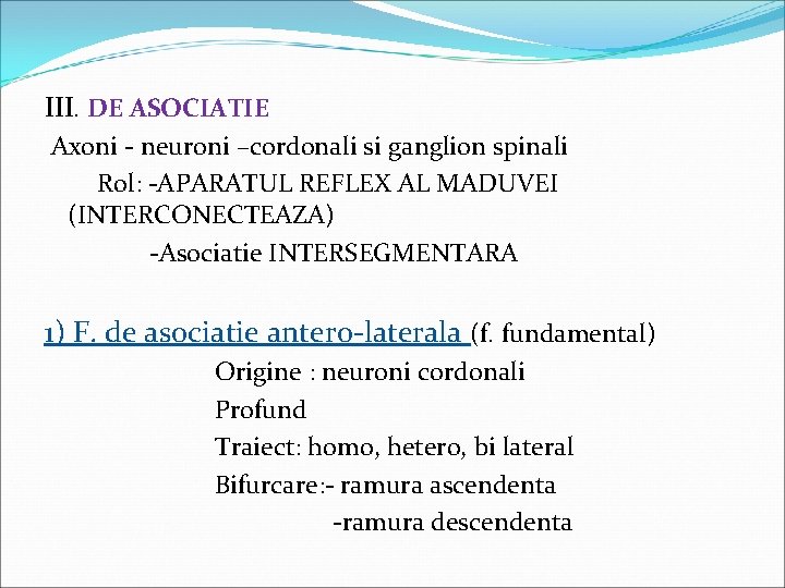 III. DE ASOCIATIE Axoni - neuroni –cordonali si ganglion spinali Rol: -APARATUL REFLEX AL