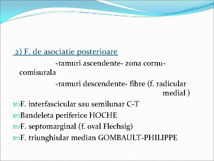  2) F. de asociatie posterioare -ramuri ascendente- zona cornucomisurala -ramuri descendente- fibre (f.