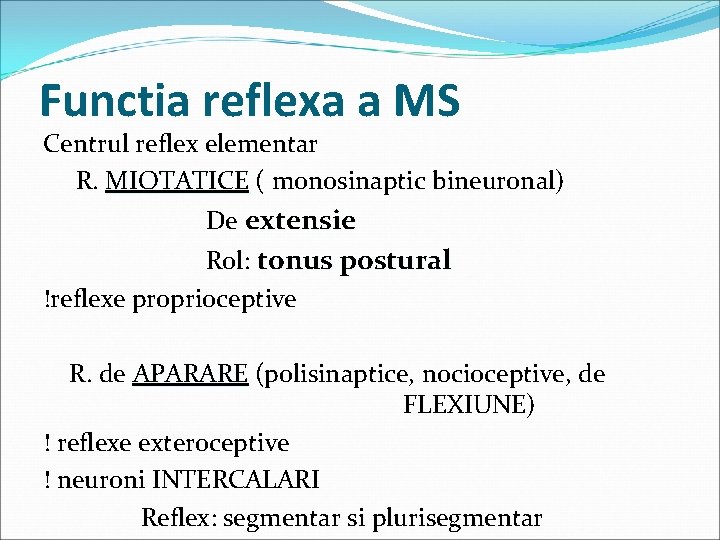 Functia reflexa a MS Centrul reflex elementar R. MIOTATICE ( monosinaptic bineuronal) MIOTATICE De