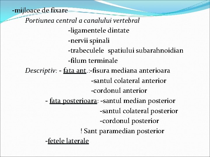 -mijloace de fixare Portiunea central a canalului vertebral -ligamentele dintate -nervii spinali -trabeculele spatiului