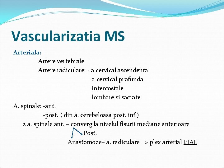 Vascularizatia MS Arteriala: Artere vertebrale Artere radiculare: - a cervical ascendenta -a cervical profunda