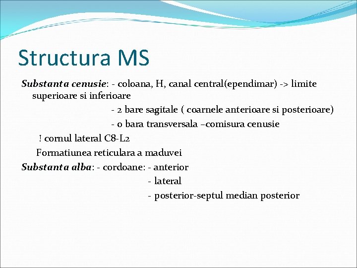 Structura MS Substanta cenusie: - coloana, H, canal central(ependimar) -> limite cenusie superioare si