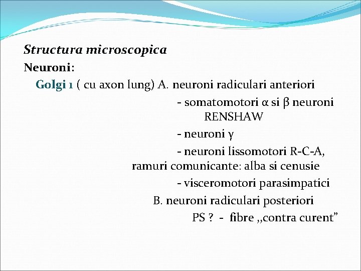 Structura microscopica Neuroni: Golgi 1 ( cu axon lung) A. neuroni radiculari anteriori 1
