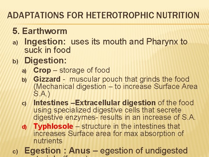 ADAPTATIONS FOR HETEROTROPHIC NUTRITION 5. Earthworm a) Ingestion: uses its mouth and Pharynx to