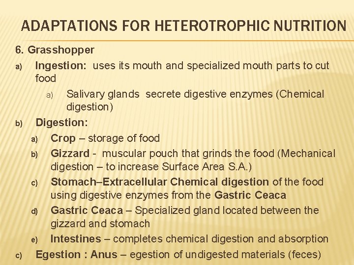 ADAPTATIONS FOR HETEROTROPHIC NUTRITION 6. Grasshopper a) Ingestion: uses its mouth and specialized mouth