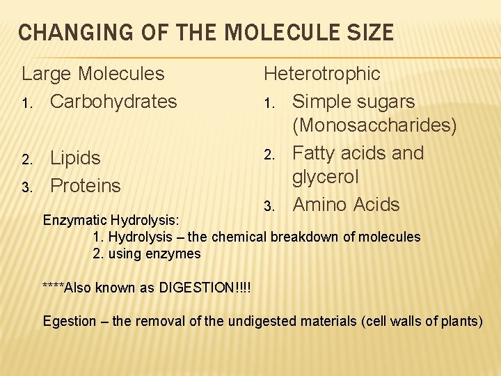 CHANGING OF THE MOLECULE SIZE Large Molecules 1. Carbohydrates 2. 3. Lipids Proteins Heterotrophic