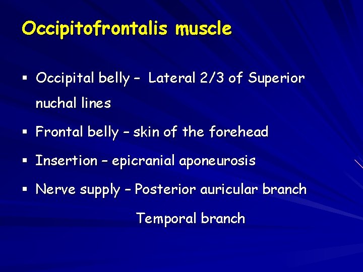 Occipitofrontalis muscle § Occipital belly – Lateral 2/3 of Superior nuchal lines § Frontal