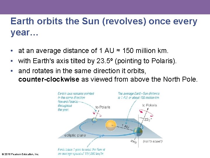 Earth orbits the Sun (revolves) once every year… • at an average distance of