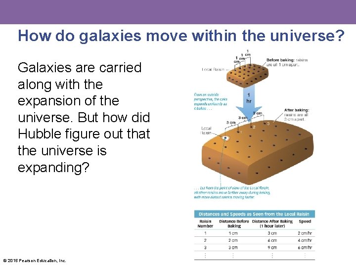 How do galaxies move within the universe? Galaxies are carried along with the expansion