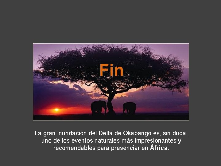 Fin La gran inundación del Delta de Okabango es, sin duda, uno de los