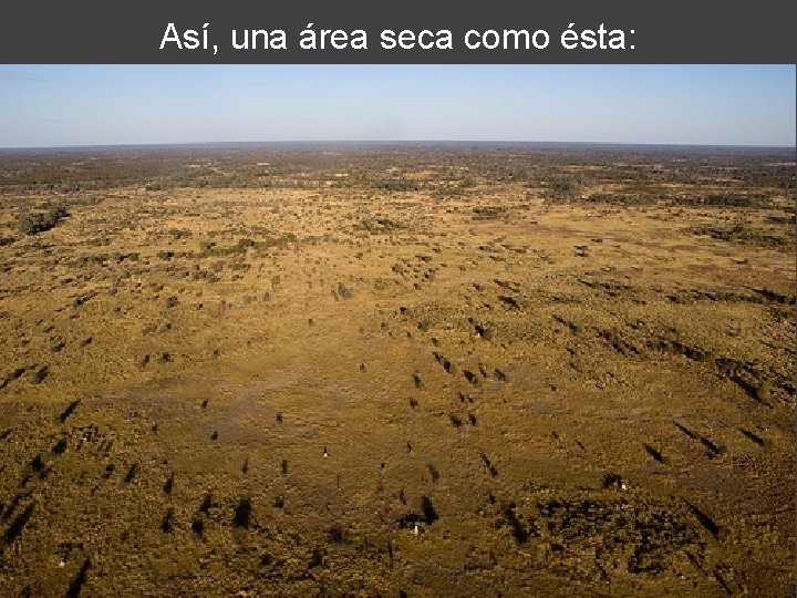 Así, una área seca como ésta: 