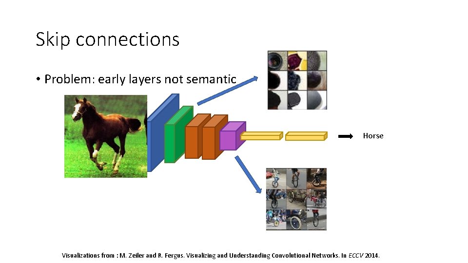 Skip connections • Problem: early layers not semantic Horse Visualizations from : M. Zeiler Skip connections • Problem: early layers not semantic Horse Visualizations from : M. Zeiler
