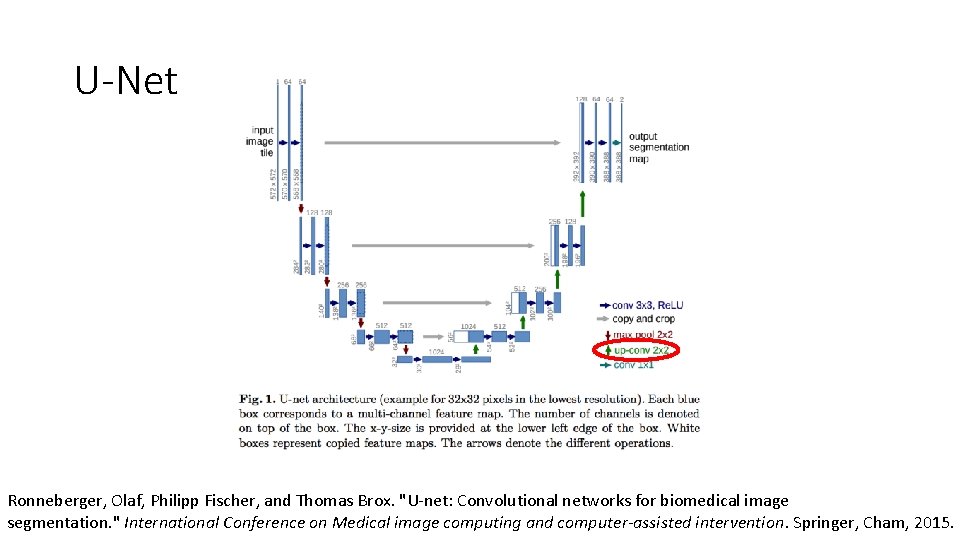 U-Net Ronneberger, Olaf, Philipp Fischer, and Thomas Brox. "U-net: Convolutional networks for biomedical image U-Net Ronneberger, Olaf, Philipp Fischer, and Thomas Brox. "U-net: Convolutional networks for biomedical image