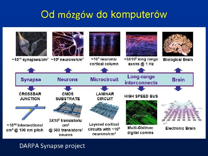 Od mózgów do komputerów DARPA Synapse project 