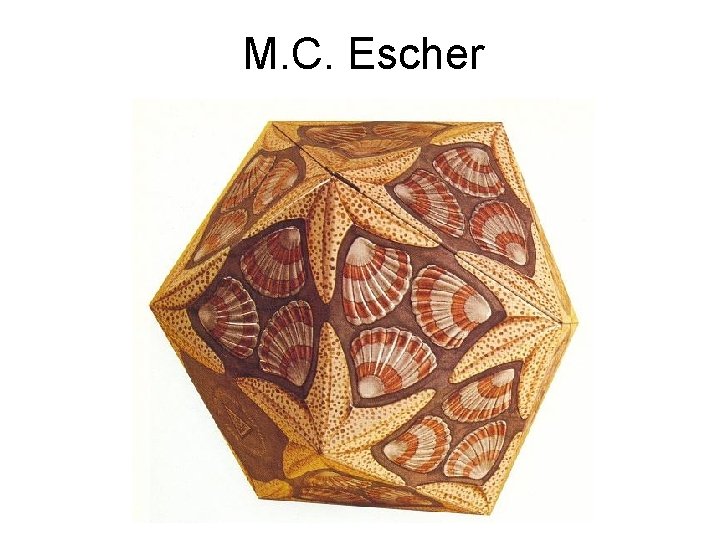 M. C. Escher 