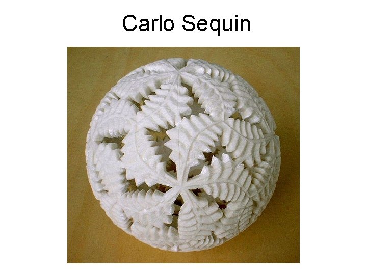 Carlo Sequin 