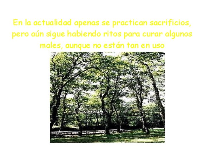 En la actualidad apenas se practican sacrificios, pero aún sigue habiendo ritos para curar