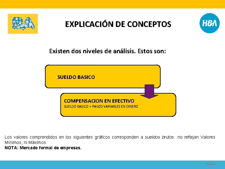 EXPLICACIÓN DE CONCEPTOS Existen dos niveles de análisis. Estos son: SUELDO BASICO COMPENSACION EN