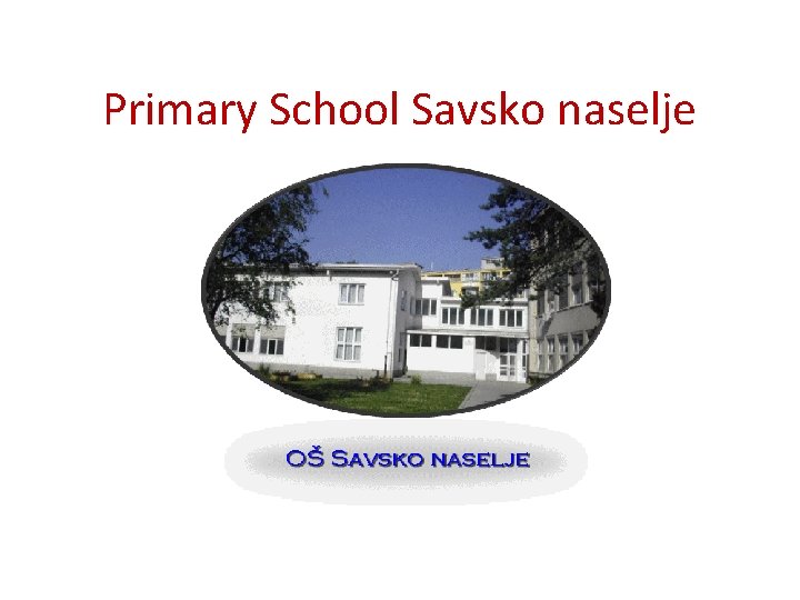 Primary School Savsko naselje 