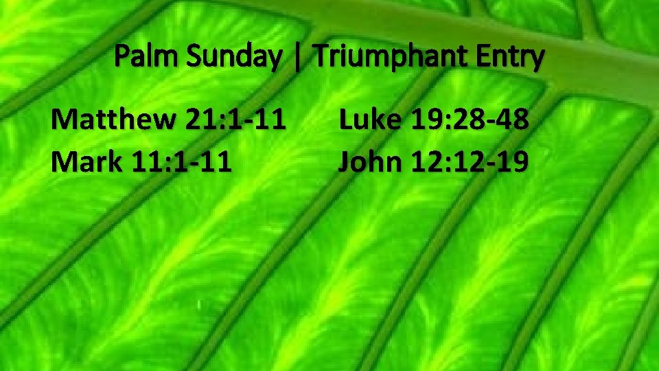 Palm Sunday | Triumphant Entry Matthew 21: 1 -11 Mark 11: 1 -11 Luke