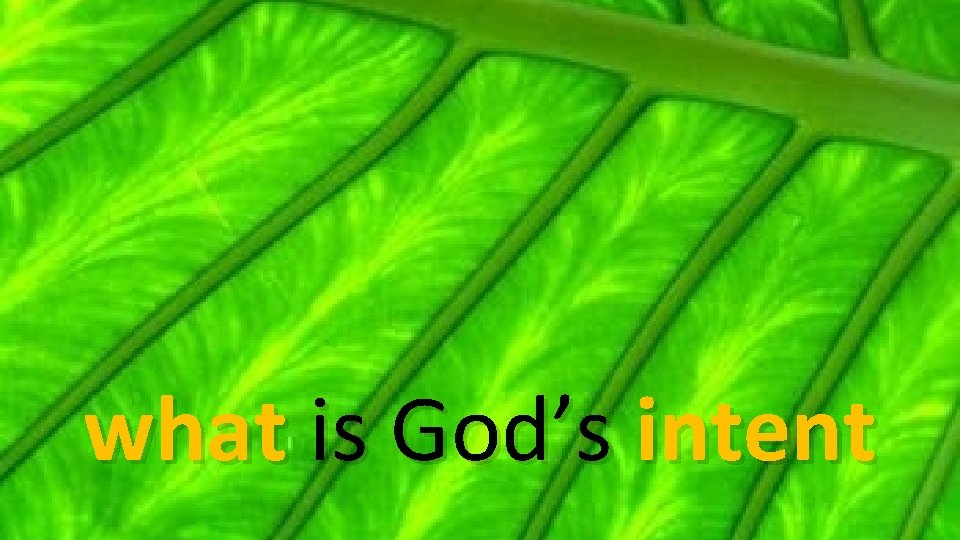 what is God’s intent 