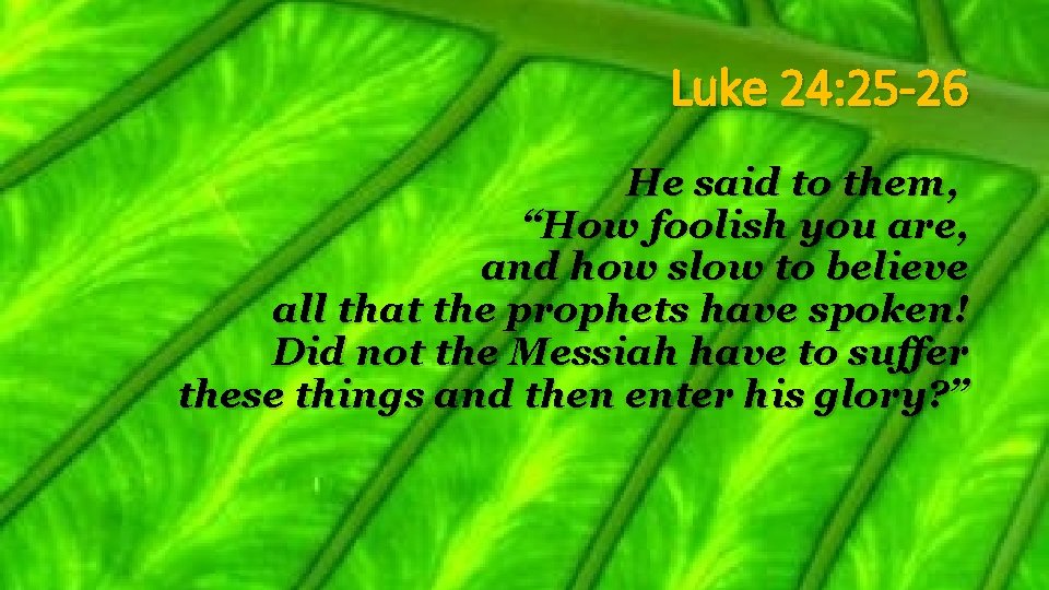 Luke 24: 25 -26 He said to them, “How foolish you are, and how