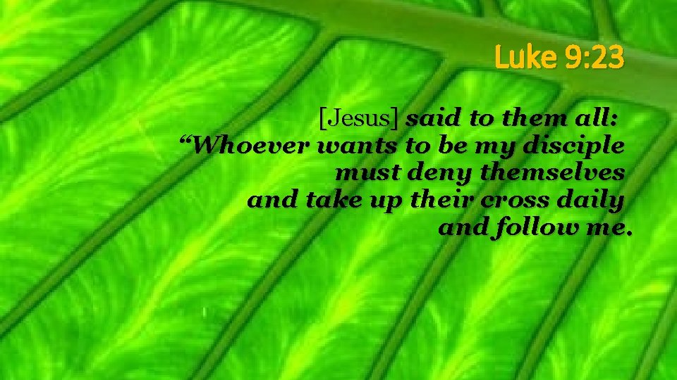 Luke 9: 23 [Jesus] said to them all: “Whoever wants to be my disciple