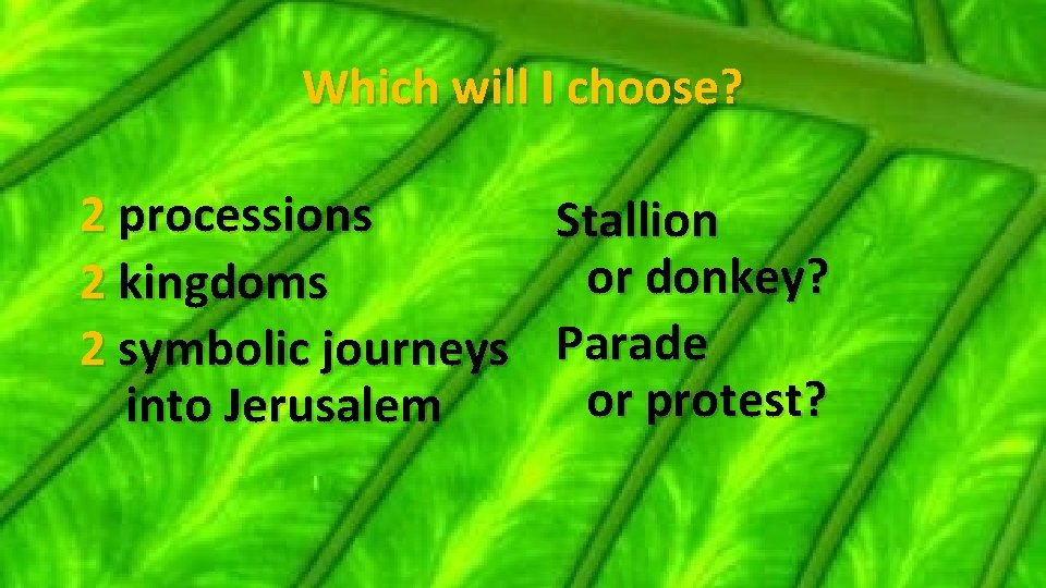 Which will I choose? 2 processions Stallion or donkey? 2 kingdoms 2 symbolic journeys