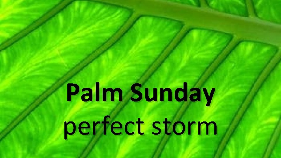 Palm Sunday perfect storm 