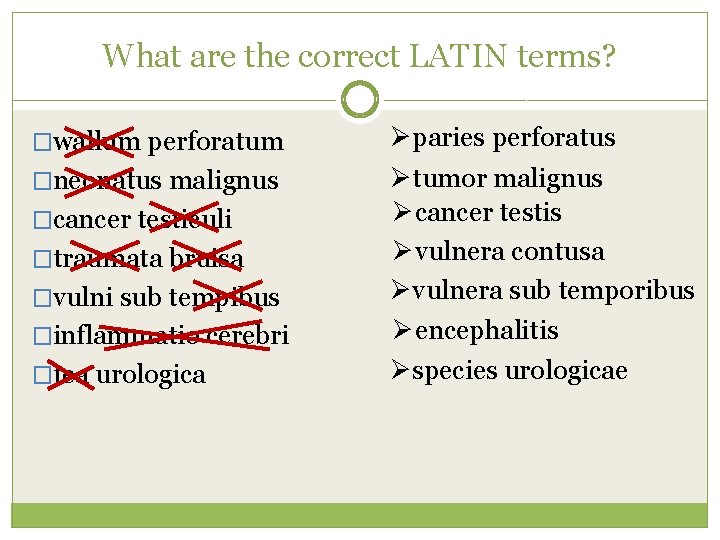 What are the correct LATIN terms? �wallum perforatum �neonatus malignus �cancer testiculi �traumata bruisa