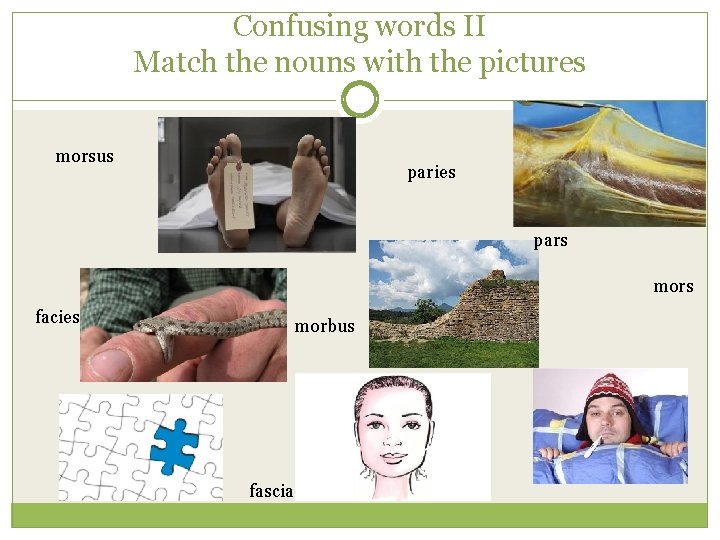 Confusing words II Match the nouns with the pictures morsus paries pars mors facies