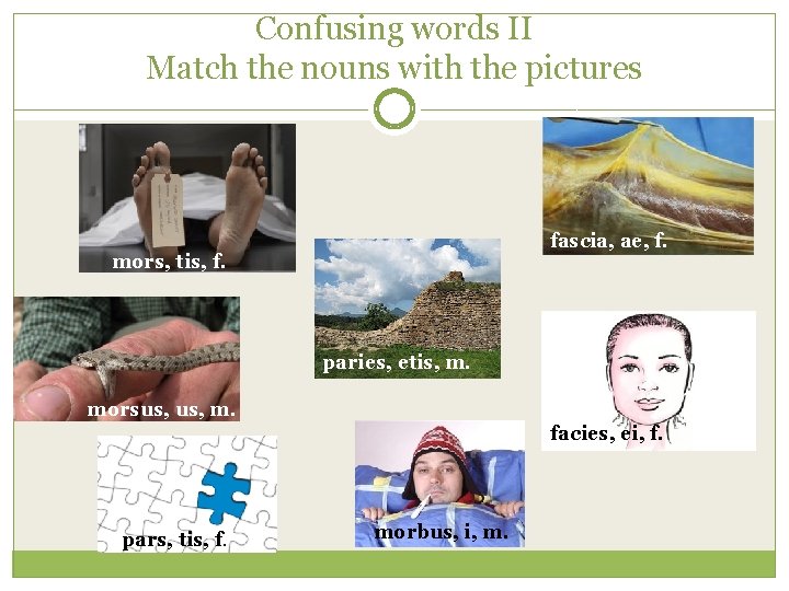 Confusing words II Match the nouns with the pictures fascia, ae, f. mors, tis,