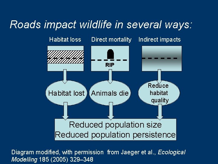 Roads impact wildlife in several ways: Habitat loss Direct mortality Indirect impacts RIP Habitat