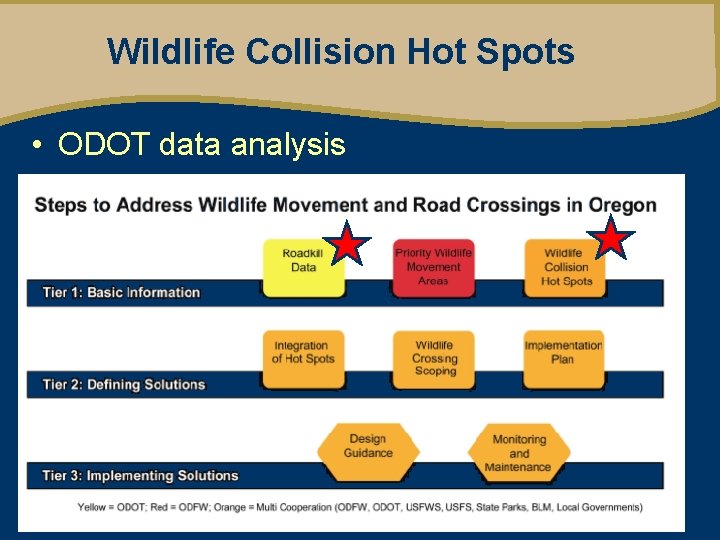Wildlife Collision Hot Spots • ODOT data analysis 
