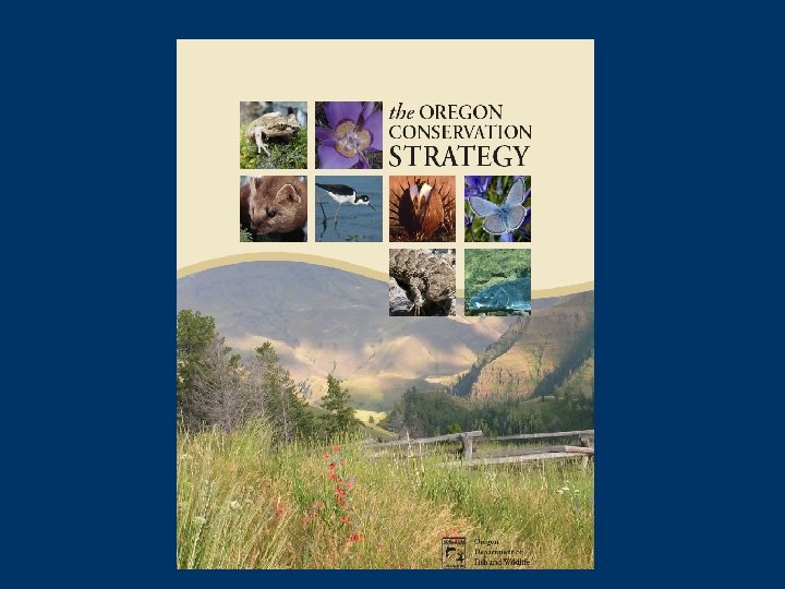 Oregon Conservation Strategy 