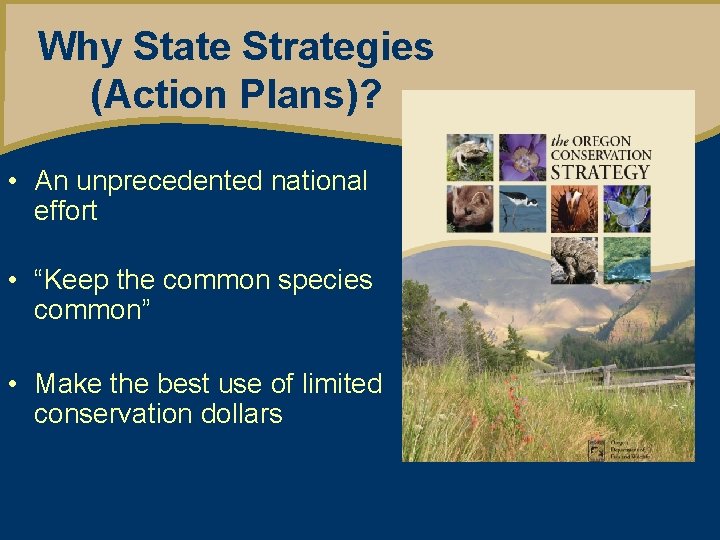 Why State Strategies (Action Plans)? • An unprecedented national effort • “Keep the common