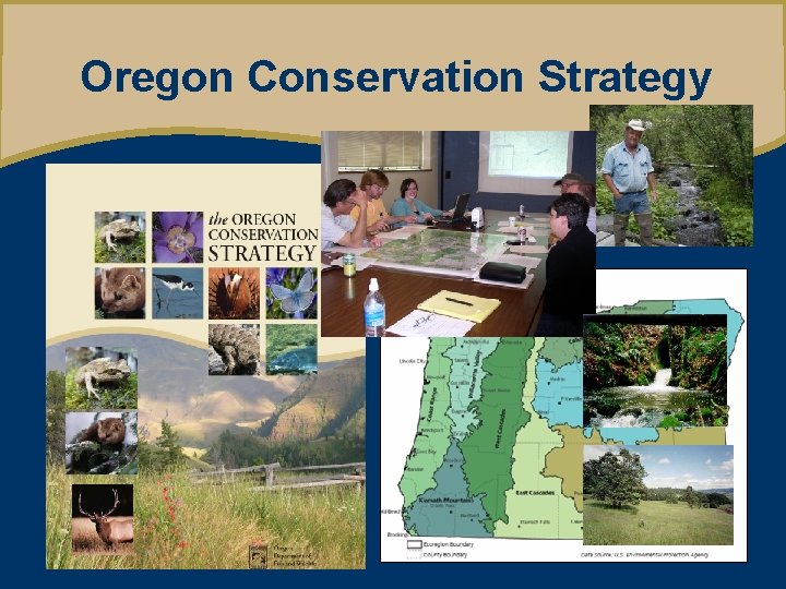 Oregon Conservation Strategy 