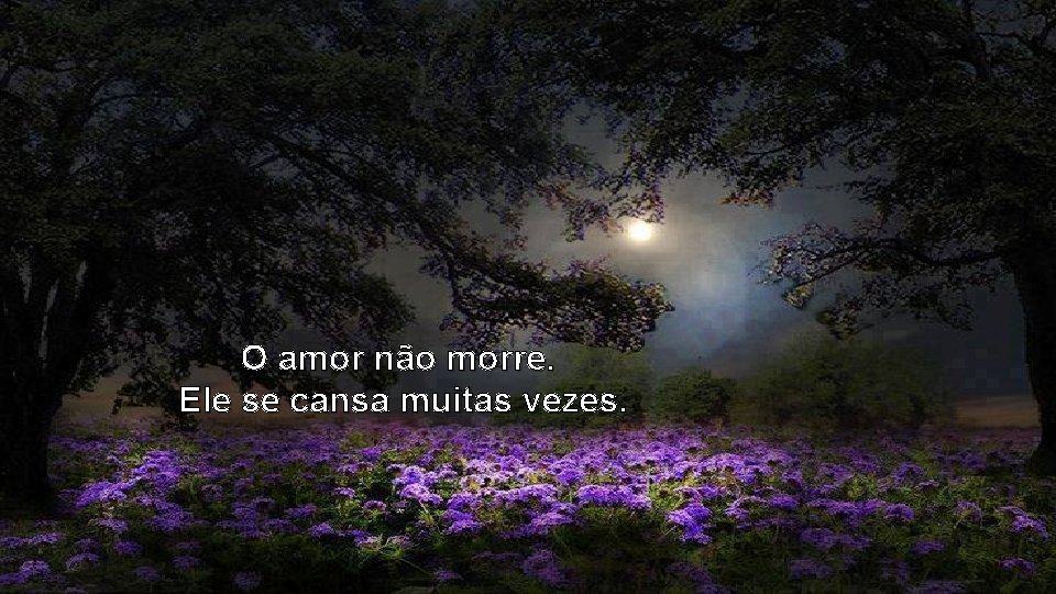 O amor não morre. Ele se cansa muitas vezes. 