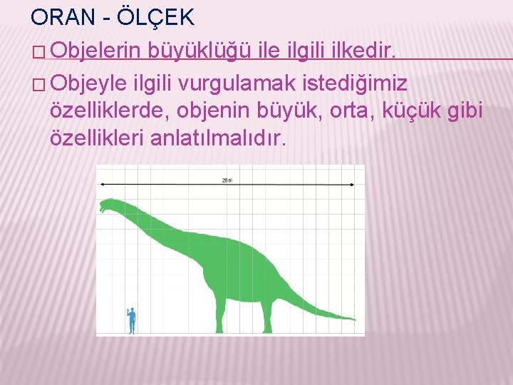 ORAN - ÖLÇEK � Objelerin büyüklüğü ile ilgili ilkedir. � Objeyle ilgili vurgulamak istediğimiz