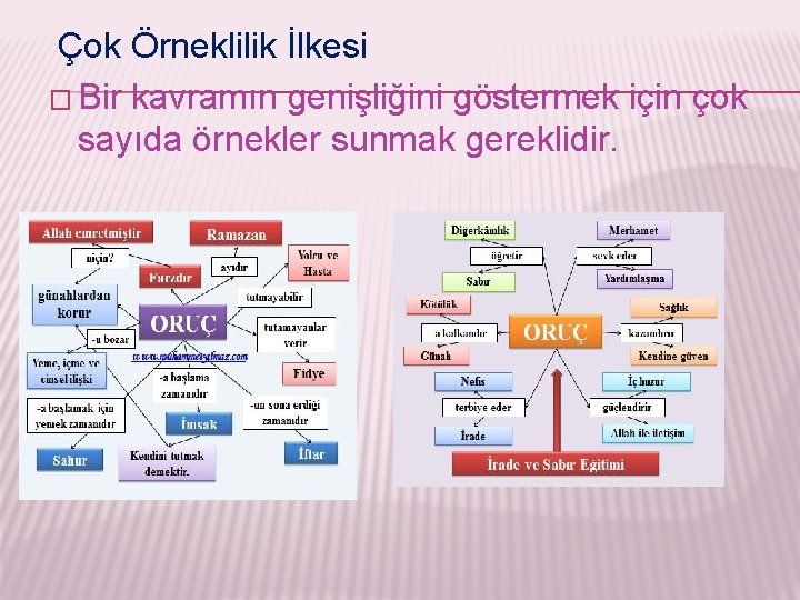 Çok Örneklilik İlkesi � Bir kavramın genişliğini göstermek için çok sayıda örnekler sunmak gereklidir.