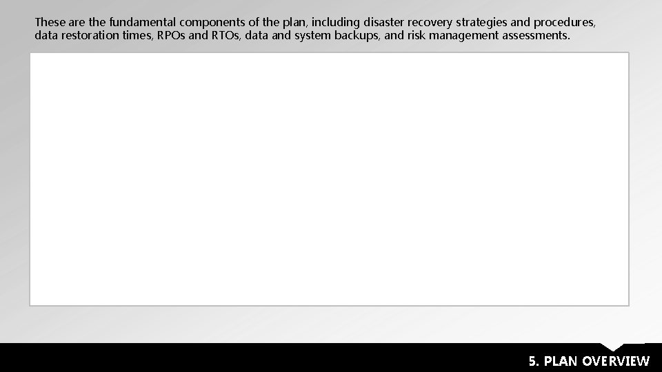 These are the fundamental components of the plan, including disaster recovery strategies and procedures,