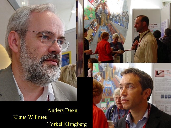 Anders Degn Klaus Willmes Torkel Klingberg 