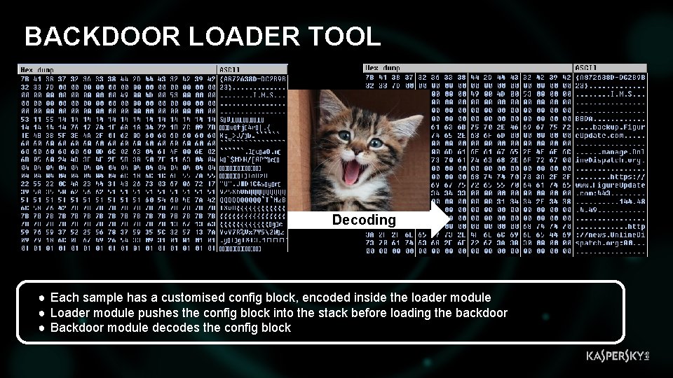 BACKDOOR LOADER TOOL Decoding ● Each sample has a customised config block, encoded inside