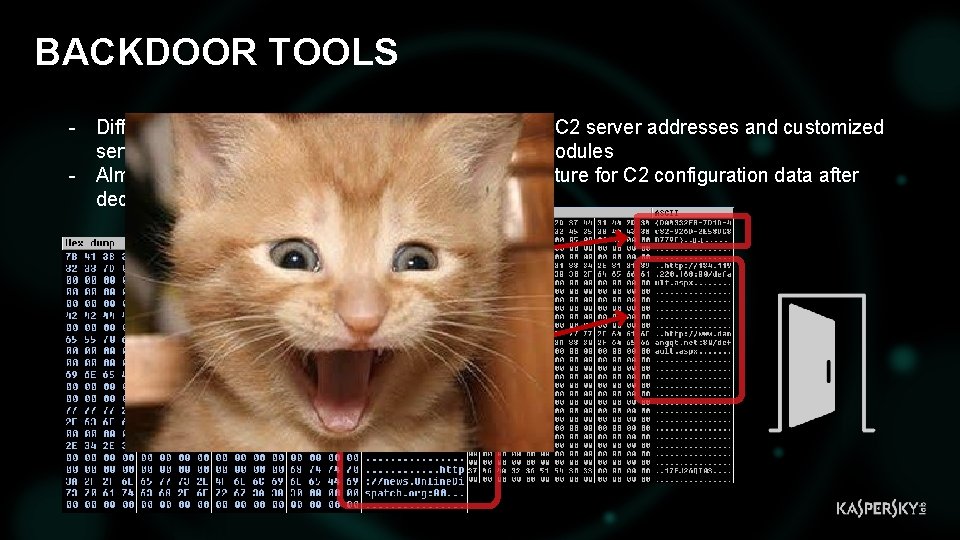 BACKDOOR TOOLS - Different backdoor samples have customized set of C 2 server addresses