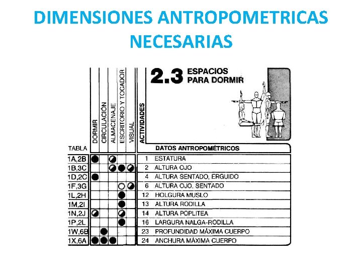 DIMENSIONES ANTROPOMETRICAS NECESARIAS DIMENSIONES ANTROPOMETRICAS NECESARIAS