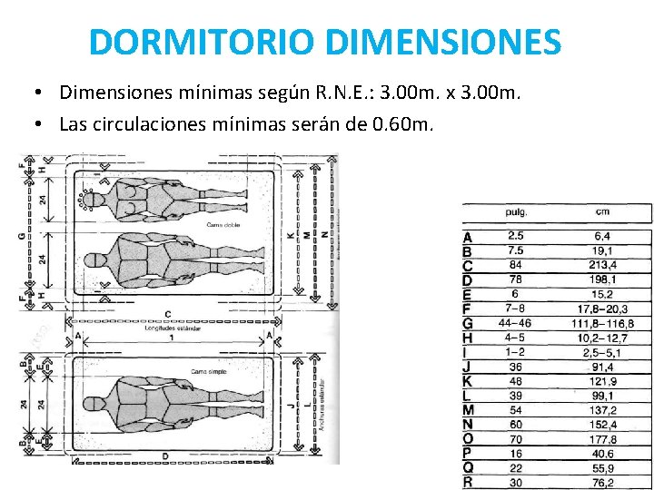 DORMITORIO DIMENSIONES • Dimensiones mínimas según R. N. E. : 3. 00 m. x DORMITORIO DIMENSIONES • Dimensiones mínimas según R. N. E. : 3. 00 m. x