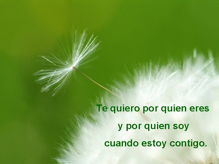 Te quiero por quien eres y por quien soy cuando estoy contigo. 
