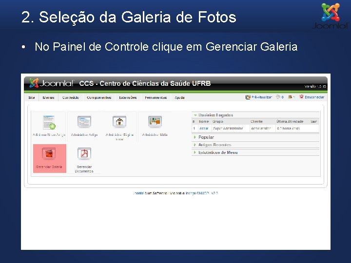 2. Seleção da Galeria de Fotos • No Painel de Controle clique em Gerenciar