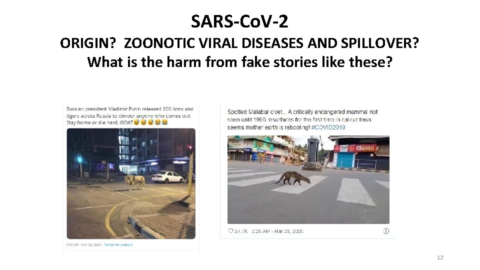 SARS-Co. V-2 ORIGIN? ZOONOTIC VIRAL DISEASES AND SPILLOVER? What is the harm from fake